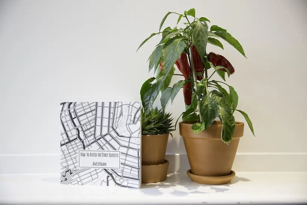 Bed & Breakfast B&B Bloemgracht